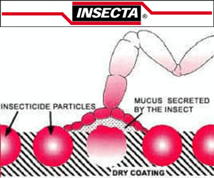 INSECTA coating diagram